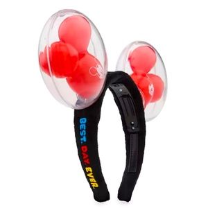 NWT Disney Parks Ears
